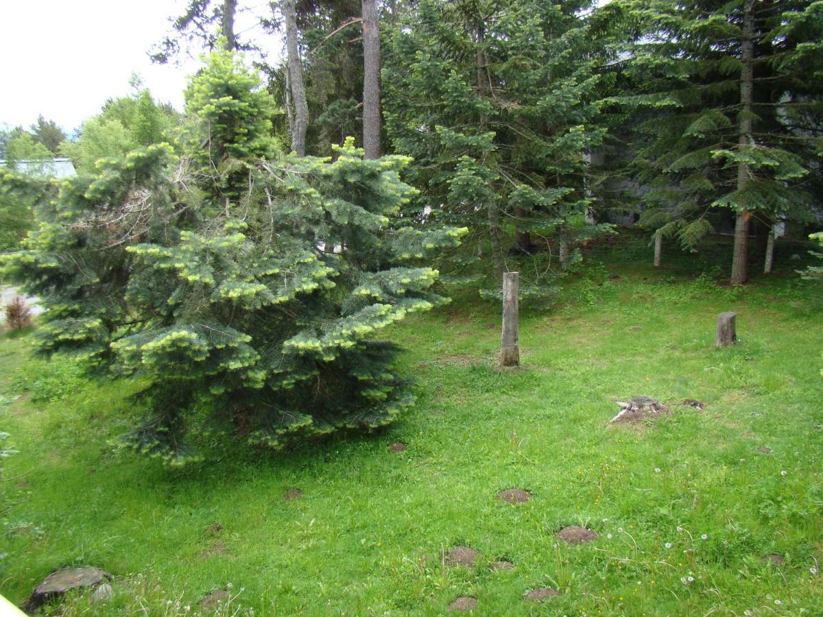 Chalet De L'Esquirol Bolquere Bagian luar foto